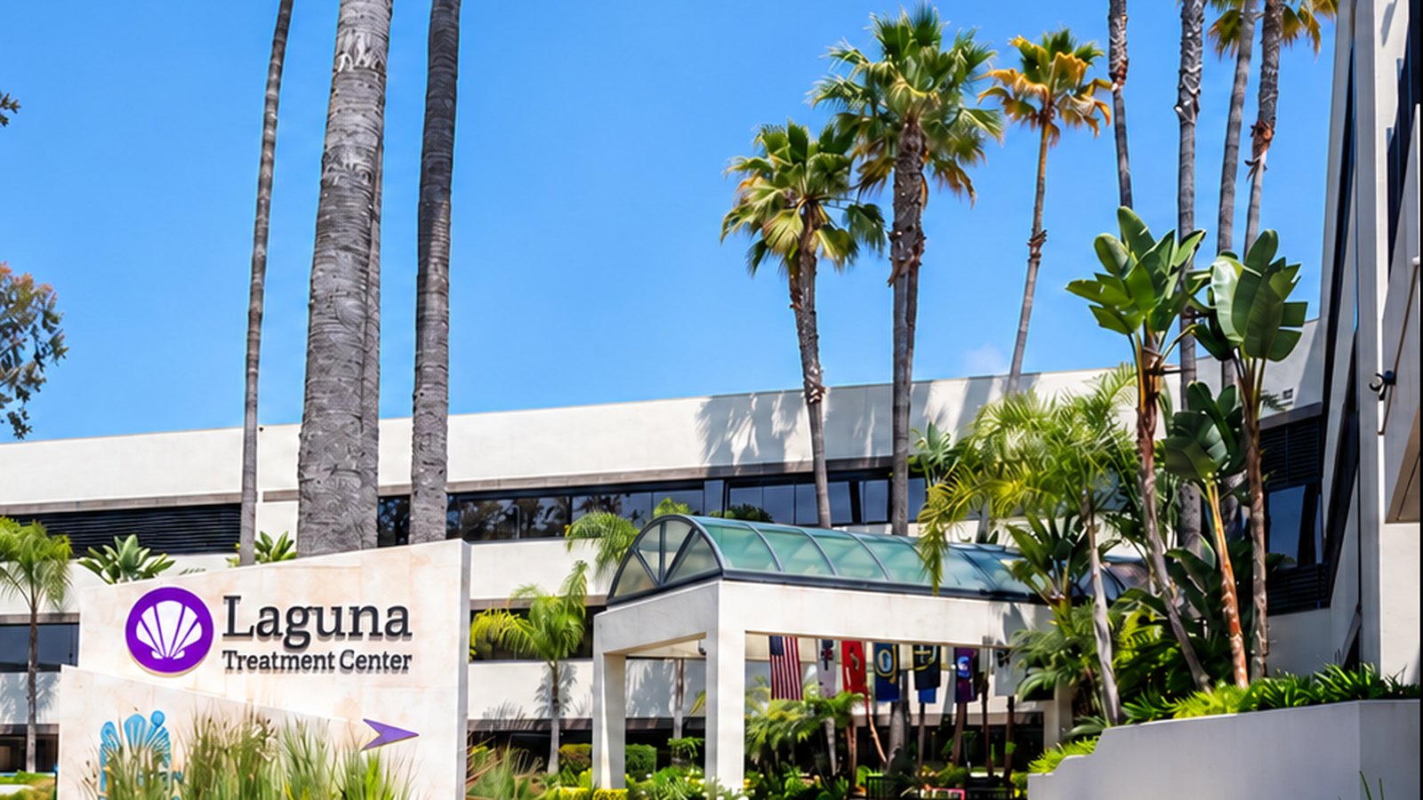 Laguna Treatment Hospital